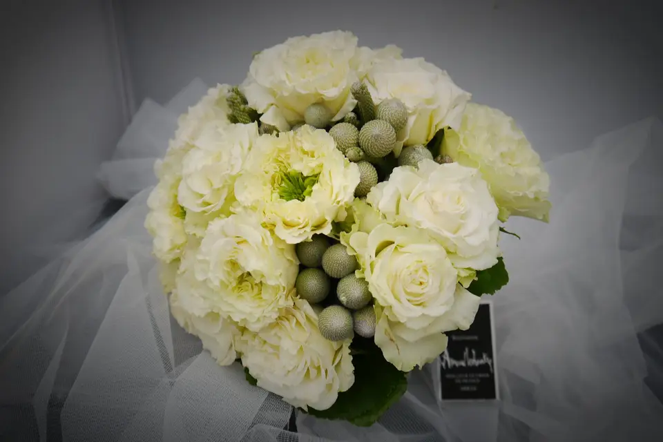 Arnaud Lechantre — photo 5