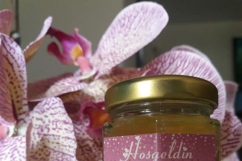 Le Petit Pot de Miel — photo 3