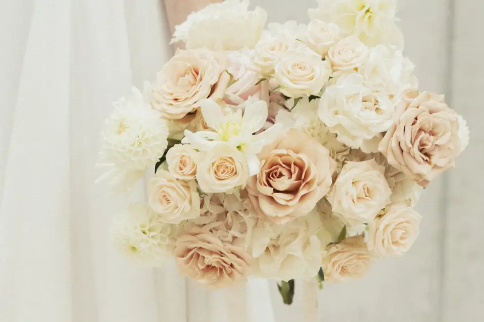 Studio Matahari — photo 2