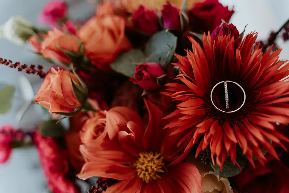 Chez Colette et Maryse — photo 3