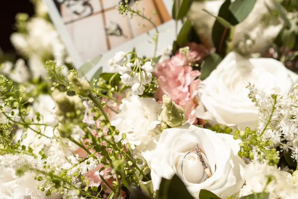 Luane Photographer — photo 6