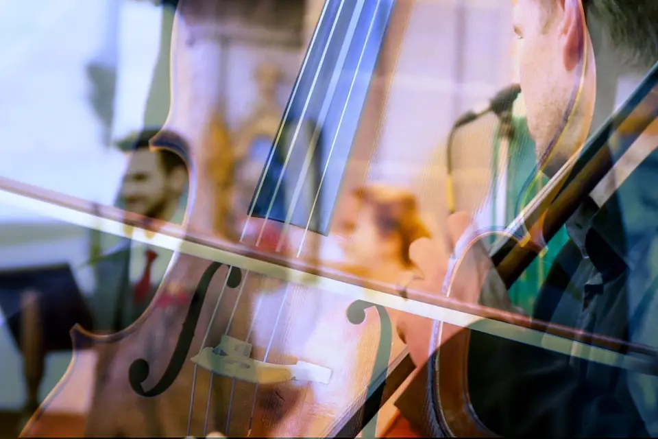 Perocello — photo 3