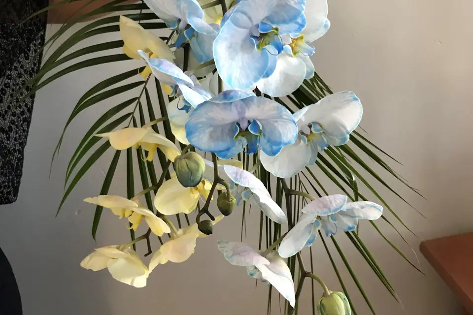 Le Paradis des Fleurs — photo 4