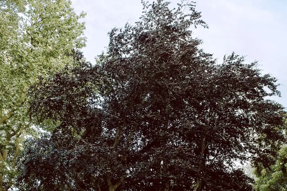 Château de Varengeville-Sur-Mer — photo 5