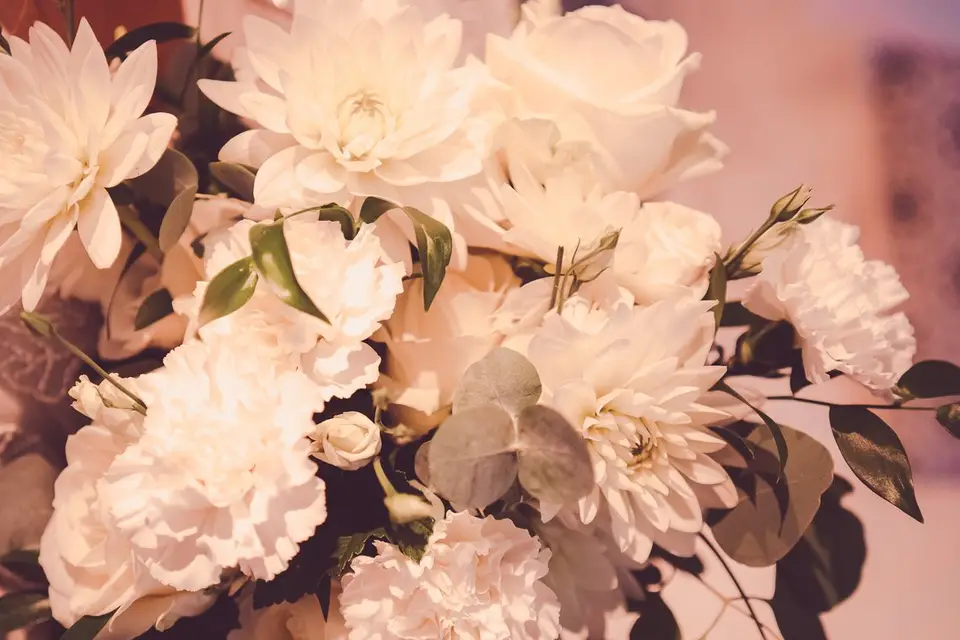 Les Fleurs de Monsieur Laurent — photo 4