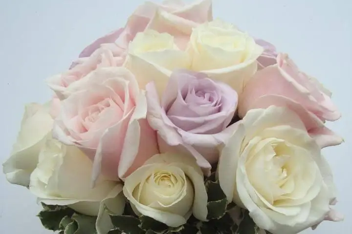 Maryline Foucaud — photo 1