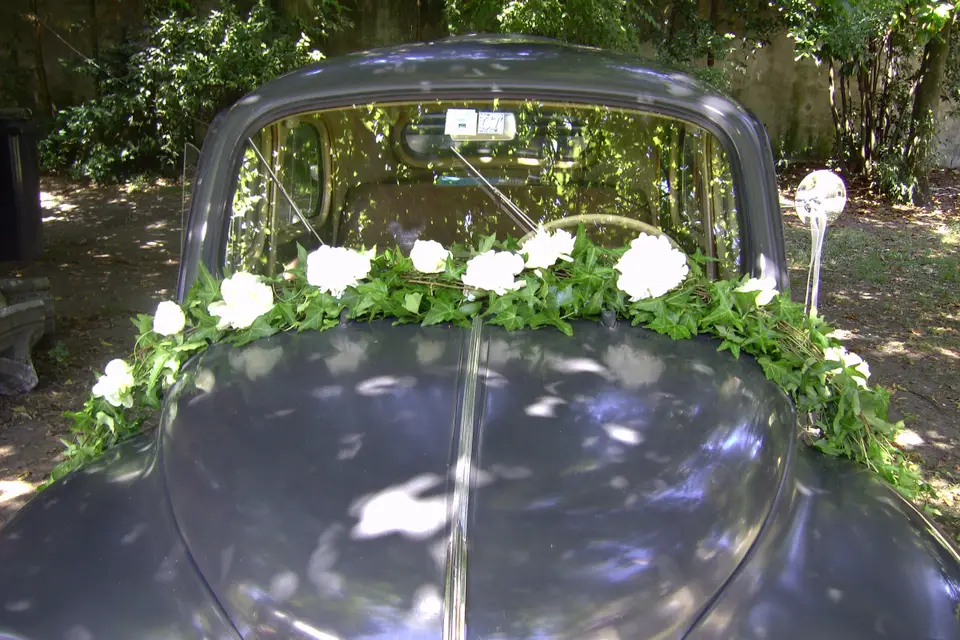 Maryline Foucaud — photo 2