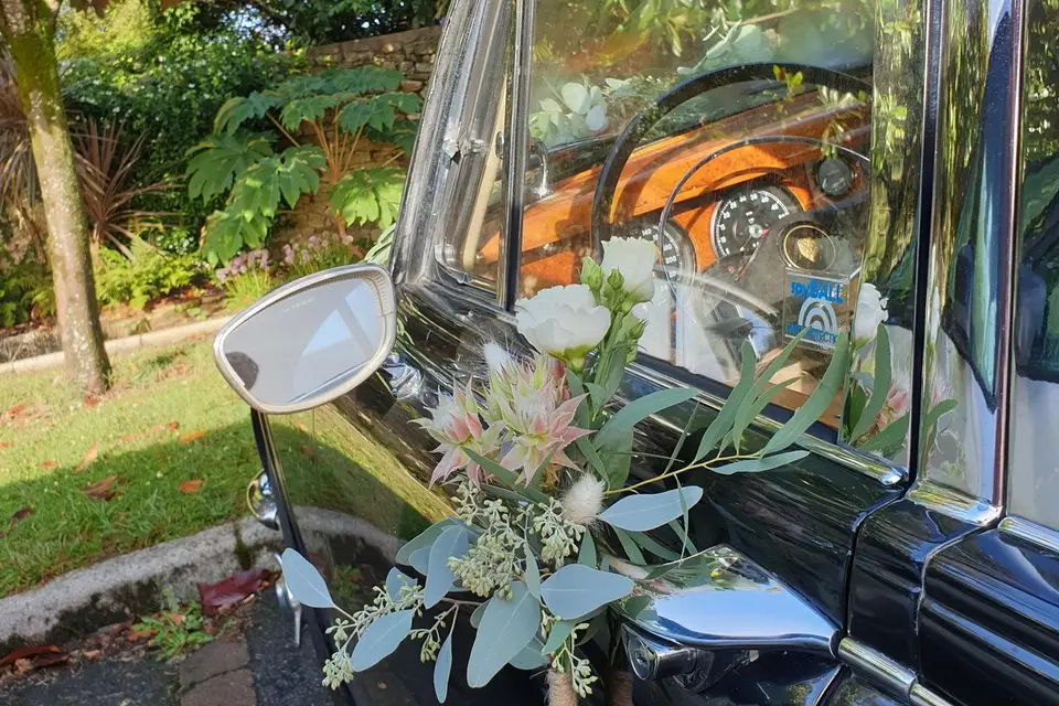 Margot et Nini — photo 5