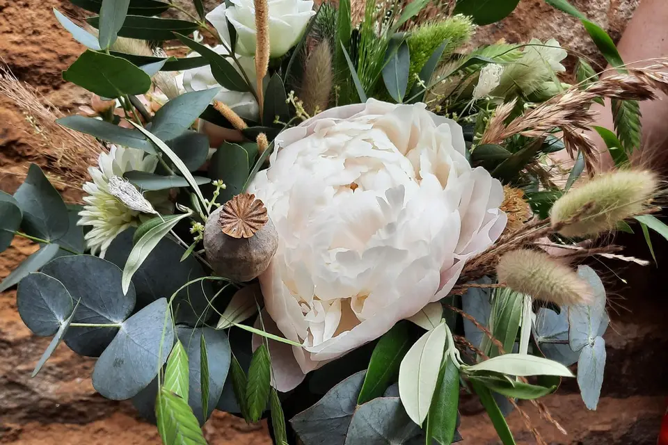 Margot et Nini — photo 6