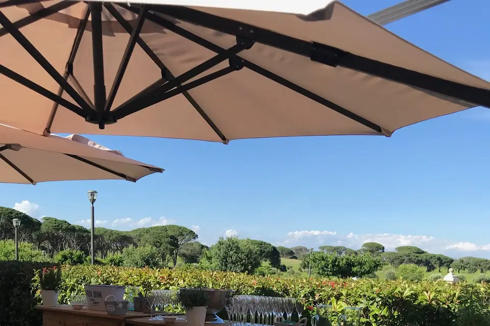 Les Filles du Sud — photo 8