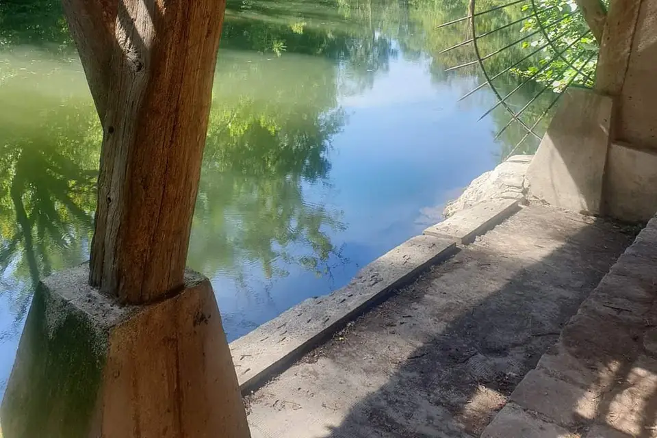 Le Chalet des Etangs — photo 2