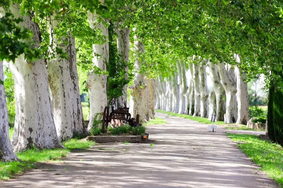 Château de Vergieres — photo 8