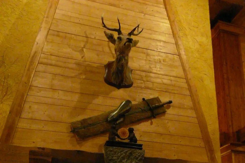 Hôtel des Glaciers — photo 6