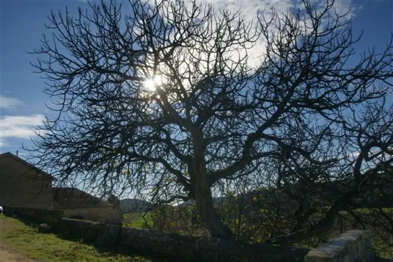 Salle Fenière - Domaine de Sulauze — photo 3