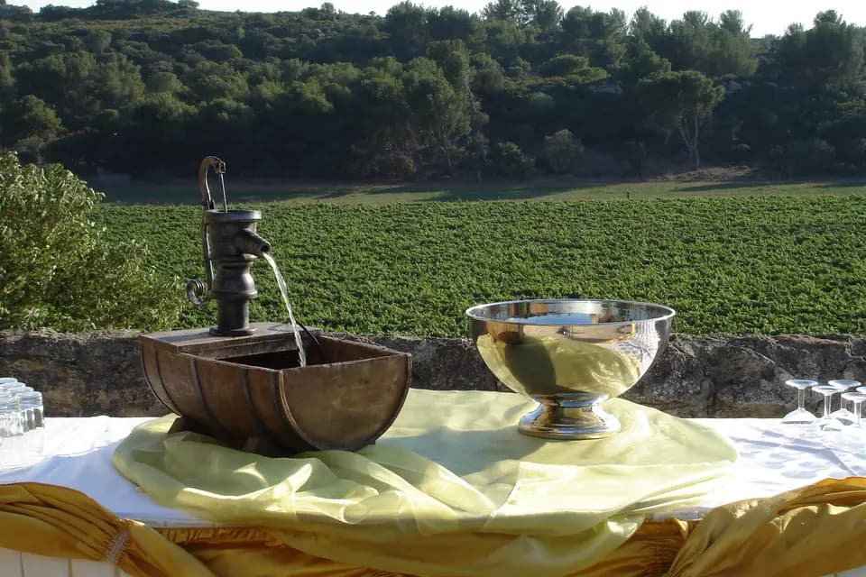 Salle Fenière - Domaine de Sulauze — photo 6