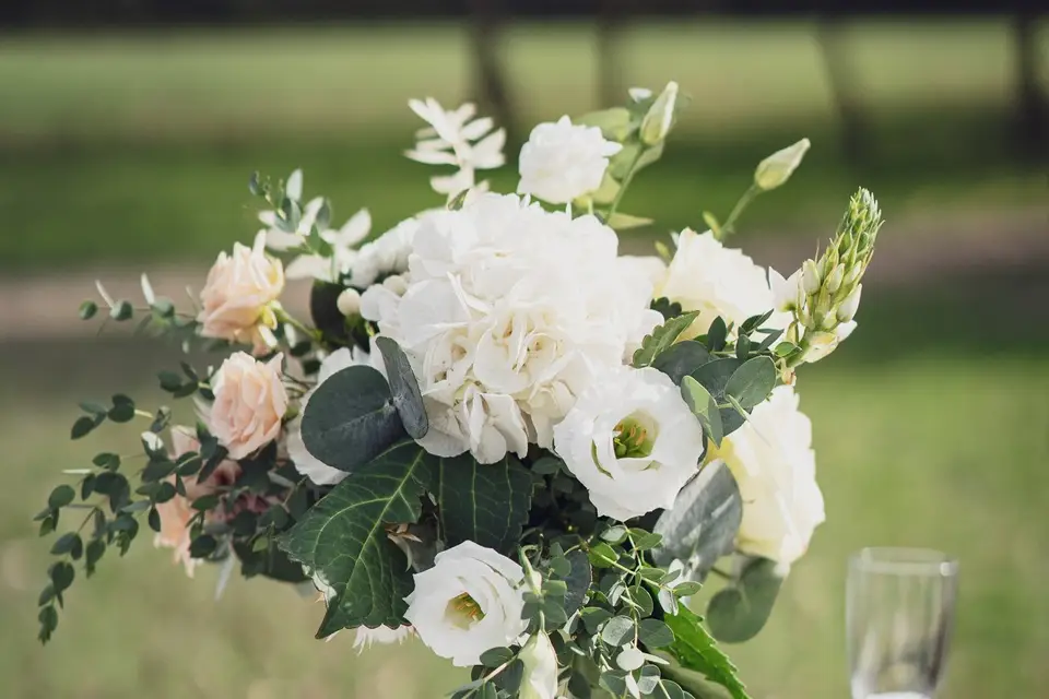 Delphine Nivelet Photographe — photo 6