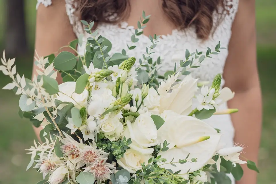 Delphine Nivelet Photographe — photo 3