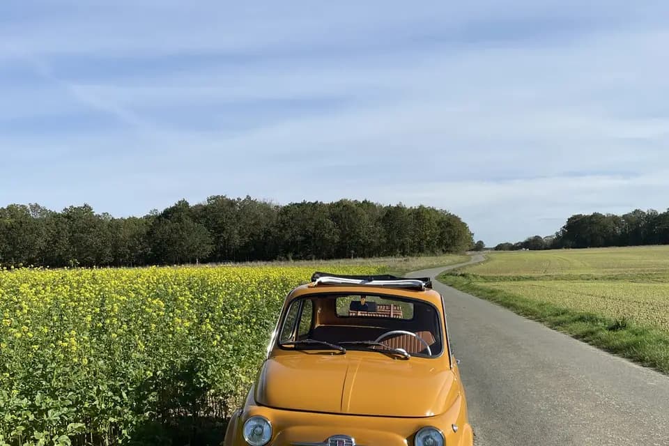 Nathan Tardy — photo 6