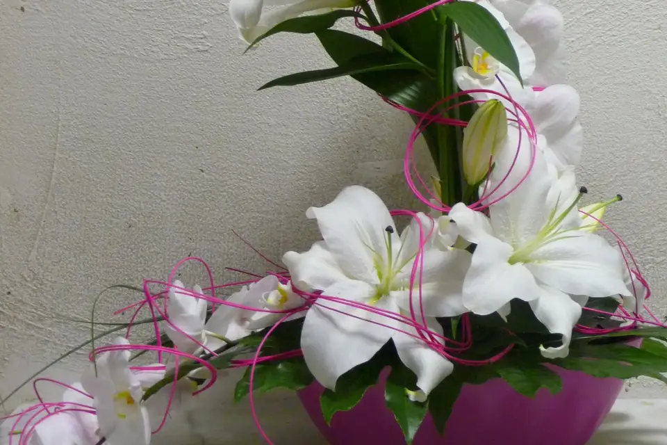 Air Fleurs — photo 3