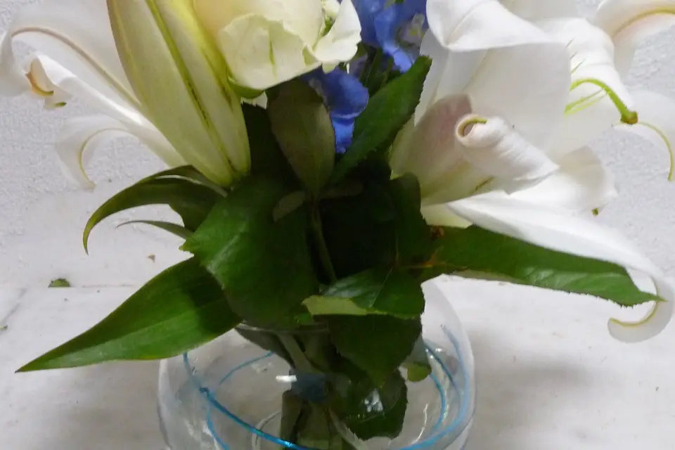 Air Fleurs — photo 8