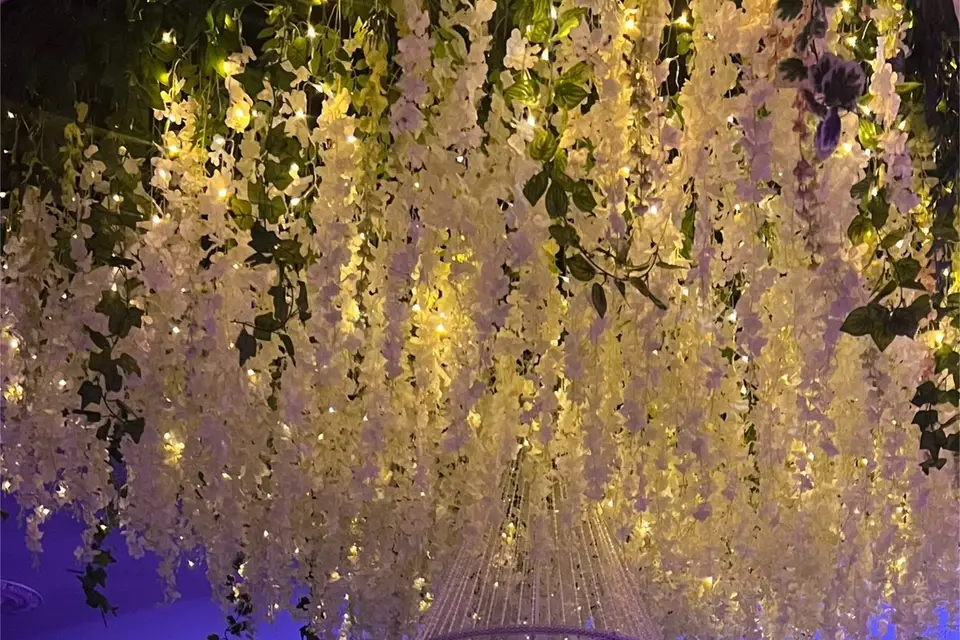 Sen Sabai — photo 4