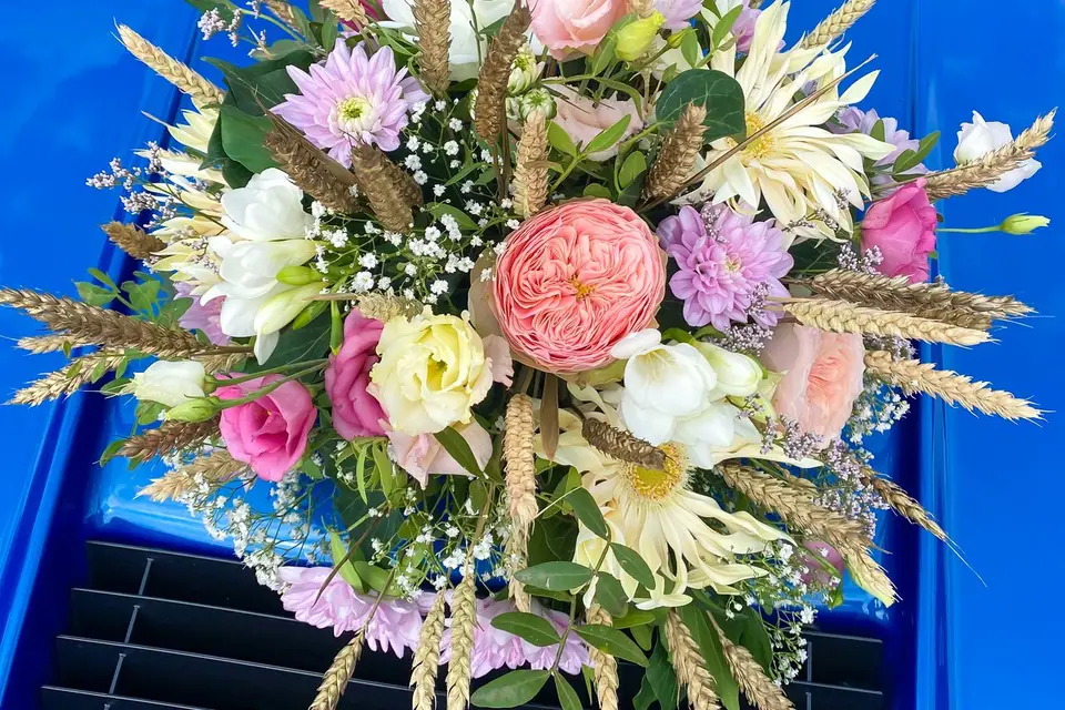 Les Pensées d'Augustine — photo 2