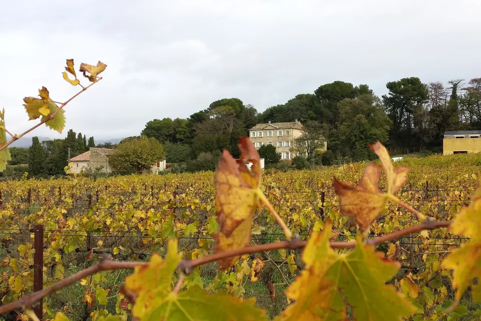 Château MontPlaisir — photo 4