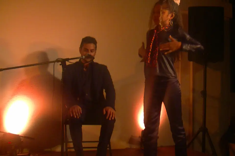 Shakira Flamenca — photo 1