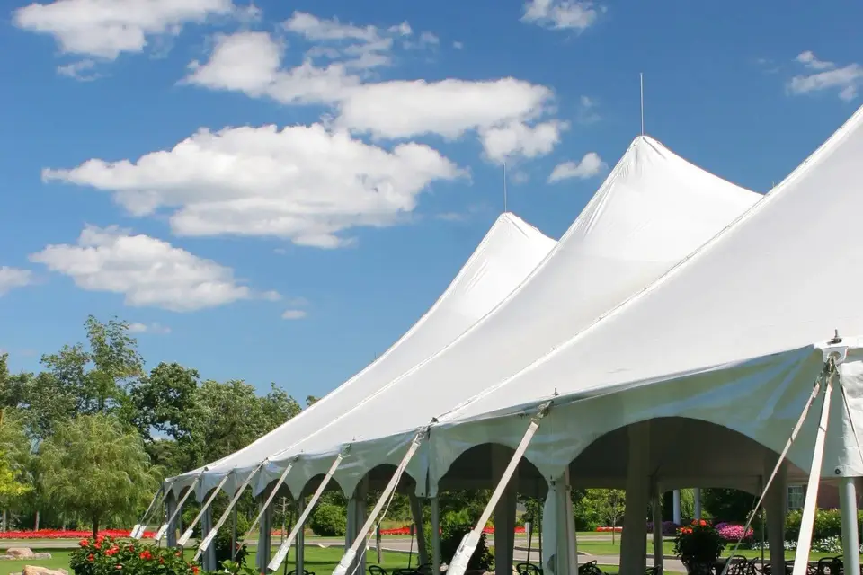 Accueil et Toiles — photo 3