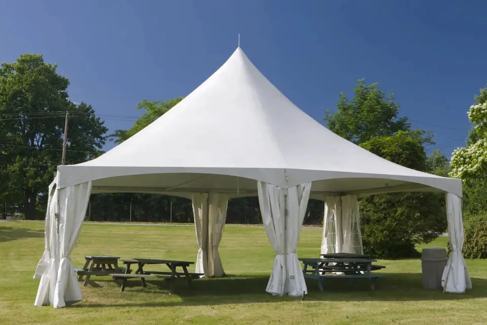 Accueil et Toiles — photo 5