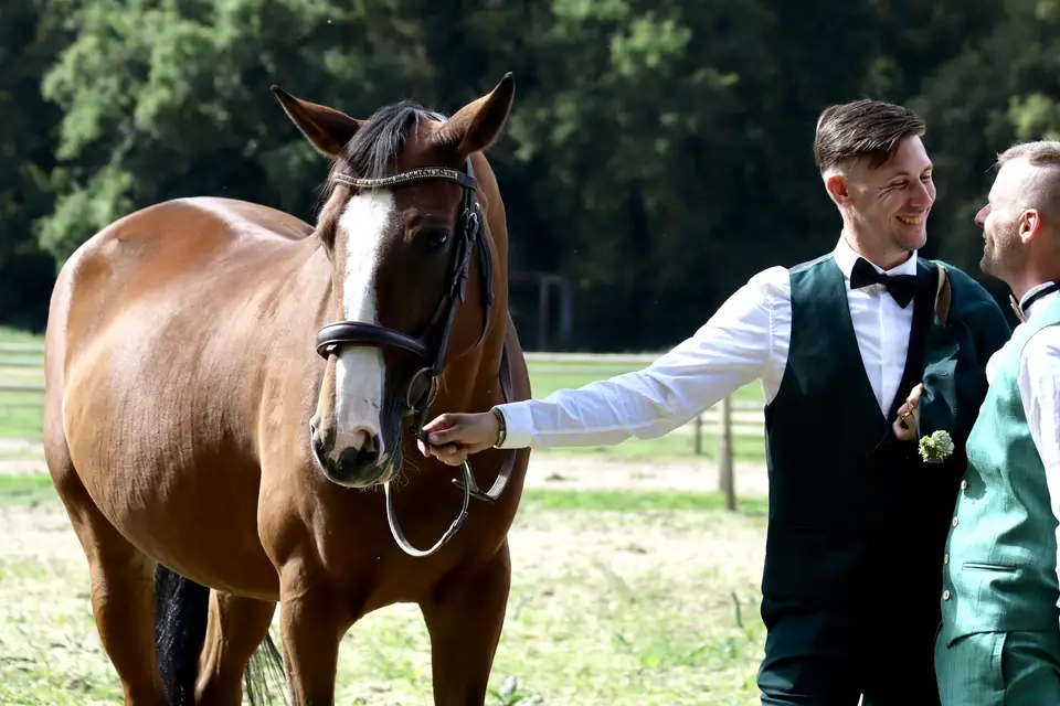 Chateau Lefèvre Création — photo 7