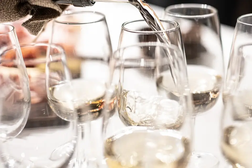 Letirebouchon — photo 2