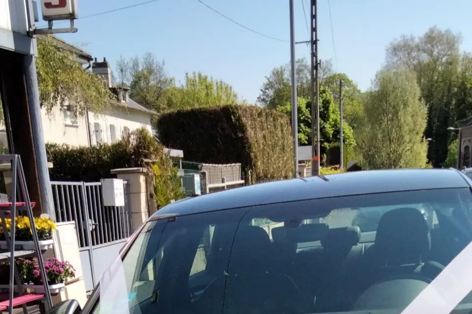 Fleur de Lys — photo 5