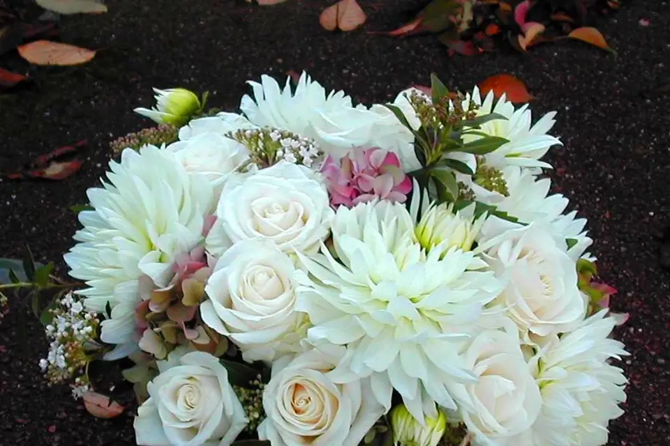 Tour Fleur Tout Flamme — photo 4