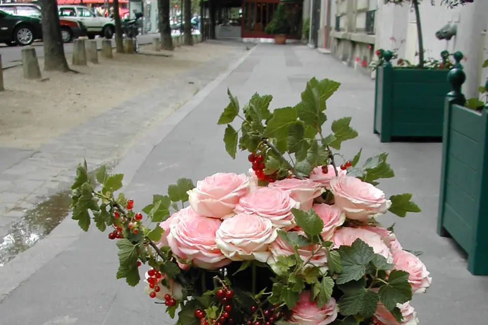 Tour Fleur Tout Flamme — photo 6