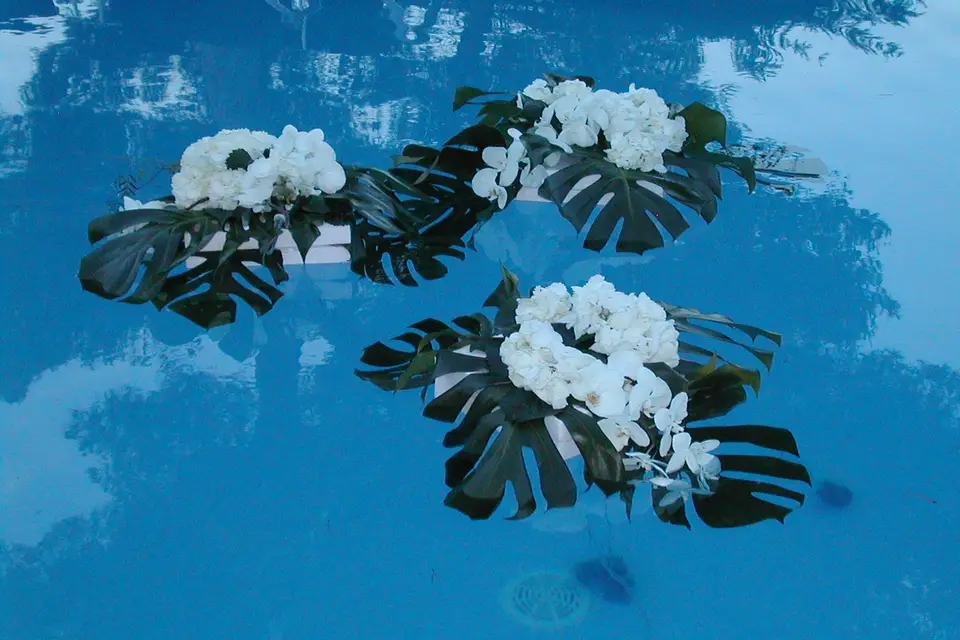 Tour Fleur Tout Flamme — photo 2