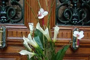 Tour Fleur Tout Flamme — photo 8