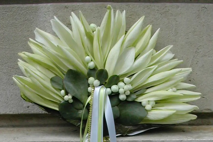 Tour Fleur Tout Flamme — photo 1