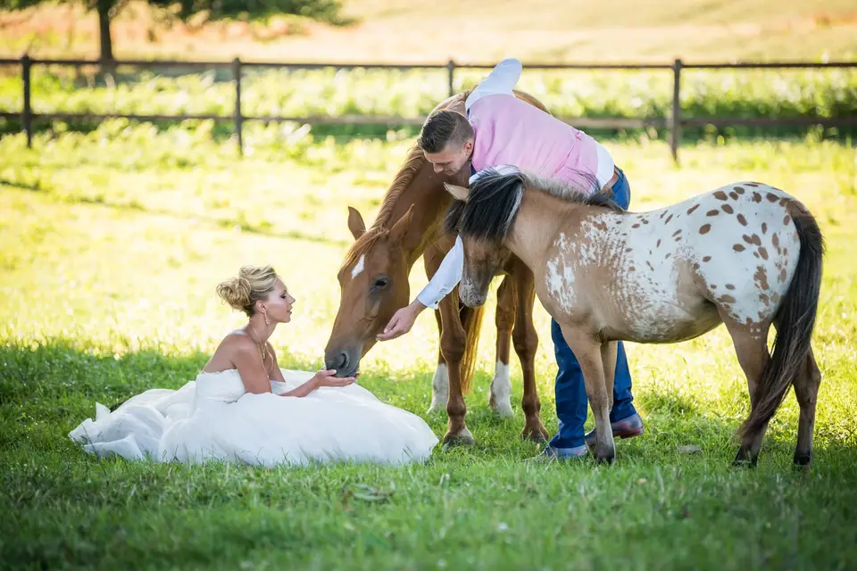 Pascal Pierre — photo 3