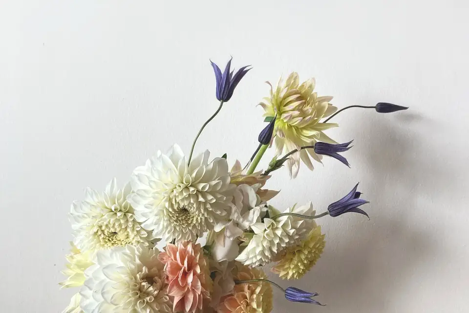 La Brassée - Compositions florales — photo 1