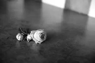 Namas Photographie — photo 1