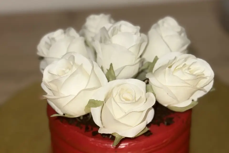 R&M Cake — photo 4