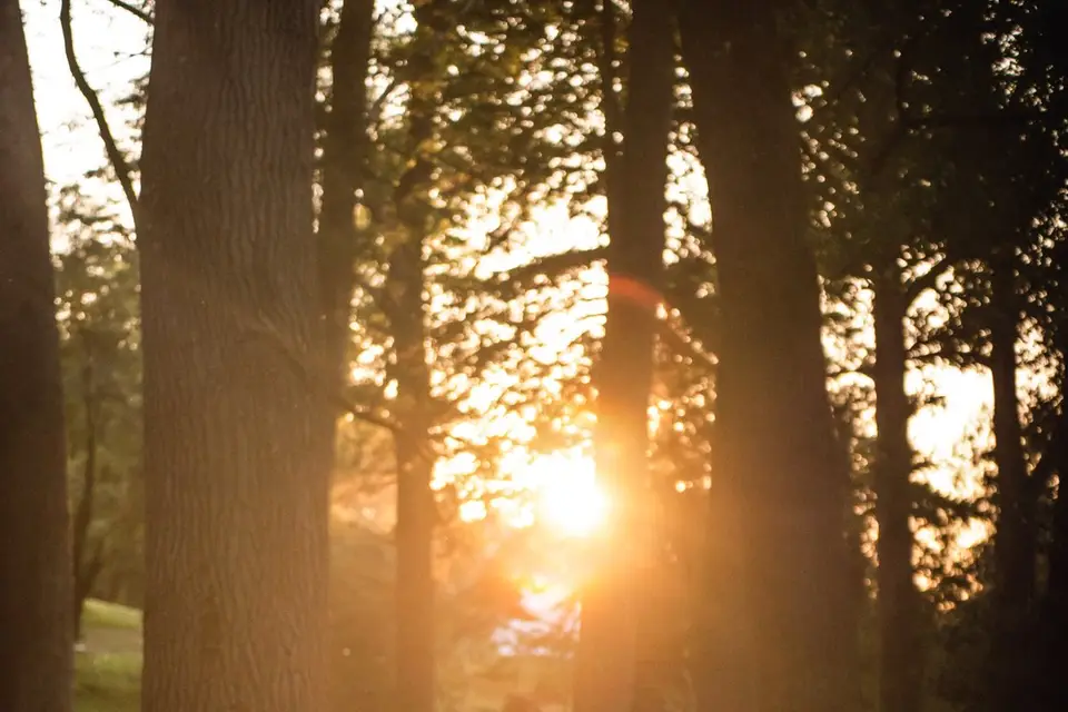 Weiss Photo — photo 7