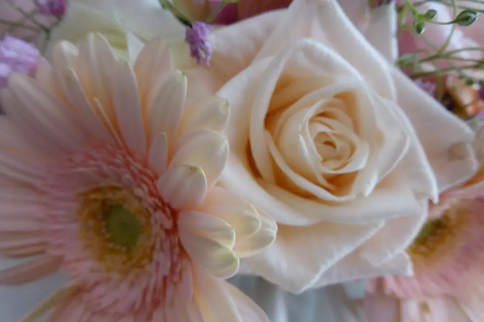 Sur la route des épices — photo 1