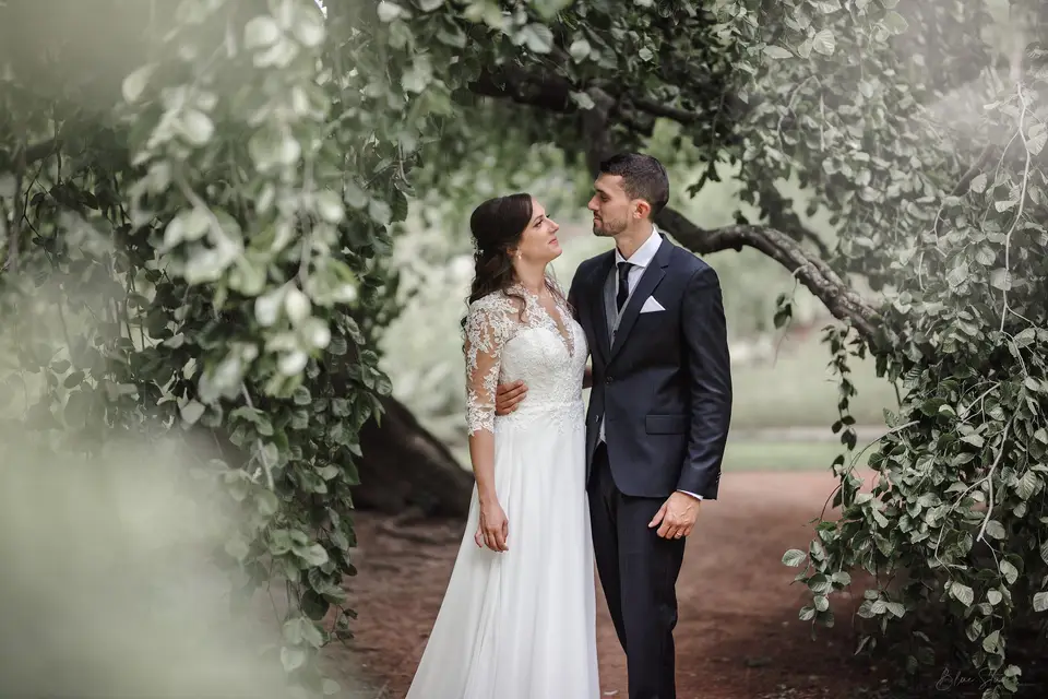 Blue Studio — photo 2