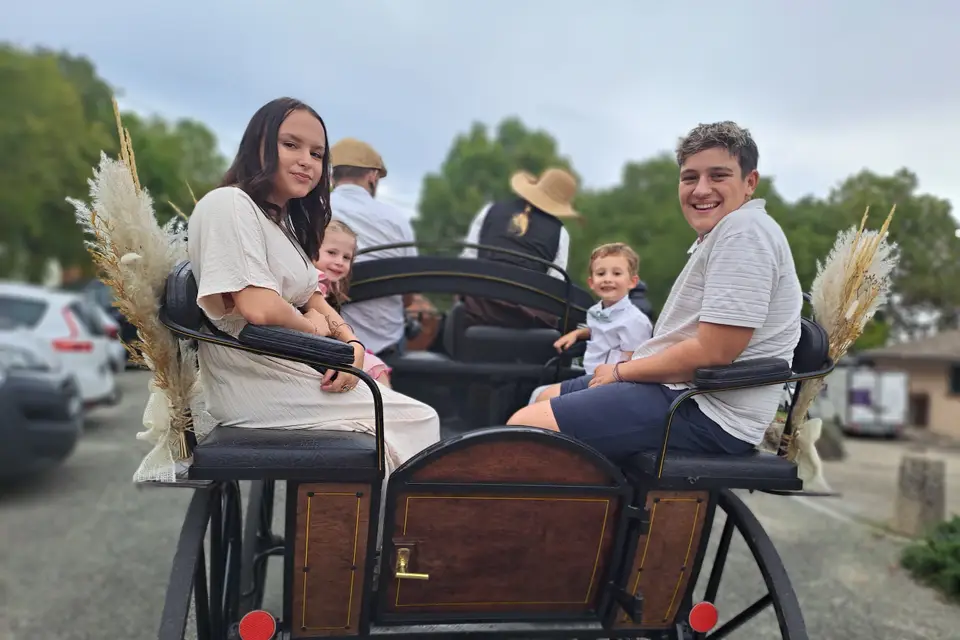 Tandem - Attelage en Quercy Blanc — photo 4