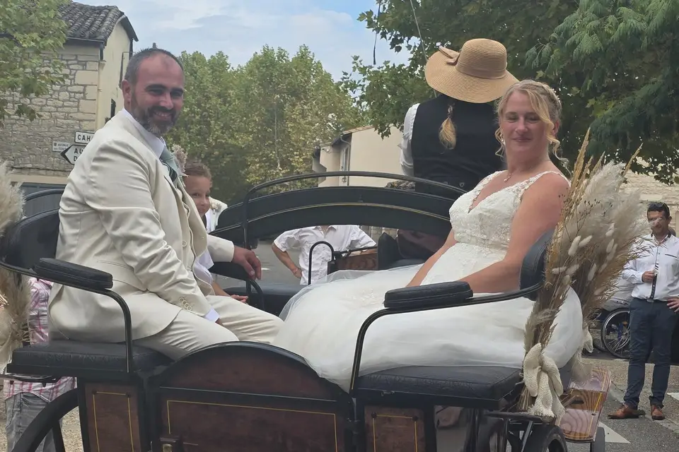 Tandem - Attelage en Quercy Blanc — photo 5