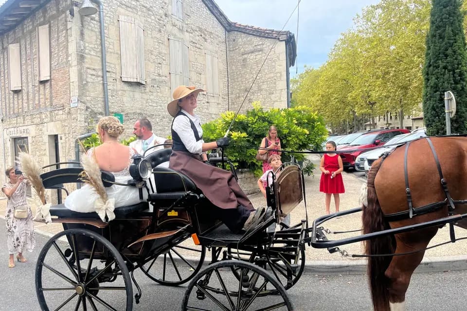 Tandem - Attelage en Quercy Blanc — photo 3