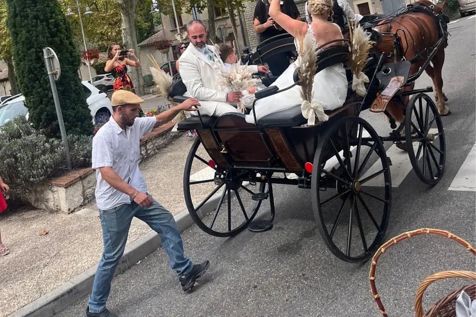 Tandem - Attelage en Quercy Blanc — photo 6
