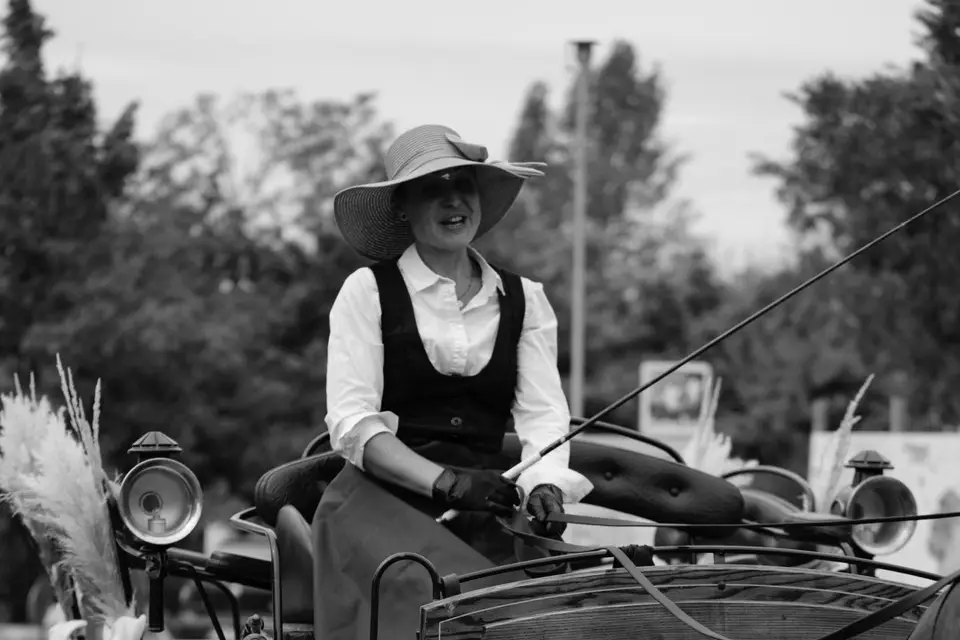 Tandem - Attelage en Quercy Blanc — photo 1